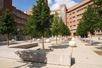 albi visite le Centre de Compétences de Lille