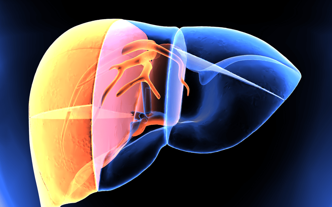Iqirvo (Elafibranor), nouveau traitement de la CBP